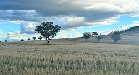 "Kyooma" 535 Black Gully Road Werris Creek NSW 2341 - Image 2