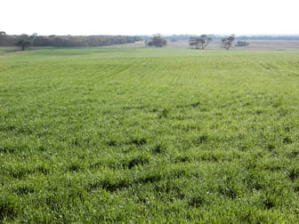 281 Kielow Road Peake SA 5301 - Image 2