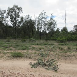 46 Arnolds Road Tara QLD 4421 - Image 3