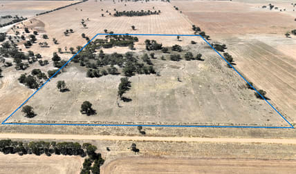 Lot 1, Womboota Rd, Womboota via Moama, NSW 2731 Womboota NSW 2731 - Image 1