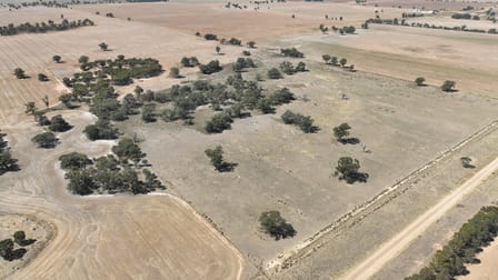 Lot 1, Womboota Rd, Womboota via Moama, NSW 2731 Womboota NSW 2731 - Image 3