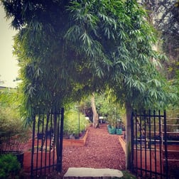 18 Myoora Road Terrey Hills NSW 2084 - Image 3