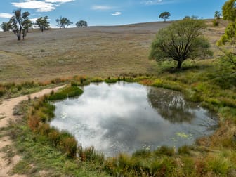 334 Mount Olive Road Mount Olive NSW 2787 - Image 3