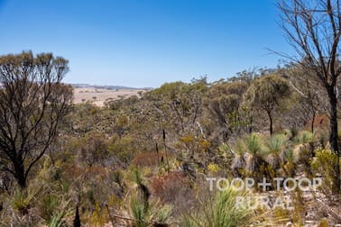1705 Ngapala Road Ngapala SA 5374 - Image 2