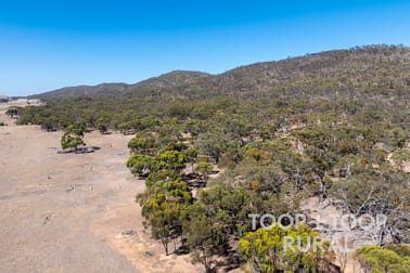 1705 Ngapala Road Ngapala SA 5374 - Image 1