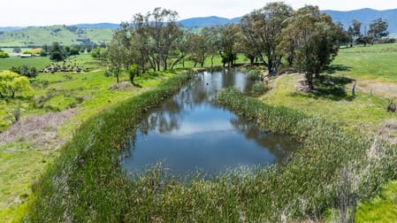 4320 Kiewa Valley Highway Dederang VIC 3691 - Image 2