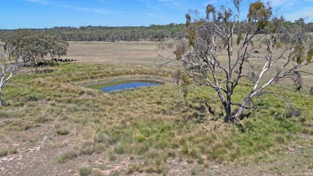 4819 Warrumbungles Way Binnaway NSW 2395 - Image 2