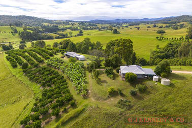 344 Williams Hill Rd Talarm NSW 2447 - Image 3