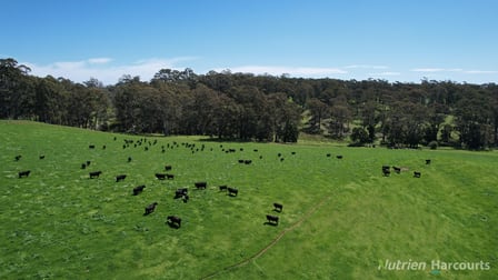 90 Porcupine Ridge Road Daylesford VIC 3460 - Image 1