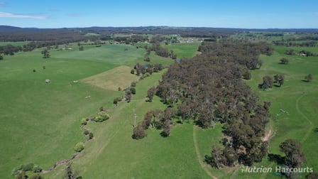 90 Porcupine Ridge Road Daylesford VIC 3460 - Image 3
