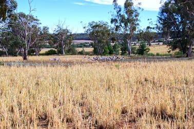 2381 Killarney Gap Road Narrabri NSW 2390 - Image 1