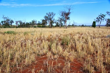 2381 Killarney Gap Road Narrabri NSW 2390 - Image 2