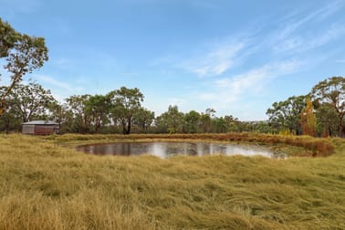 151 Curtin Road Ballandean QLD 4382 - Image 1