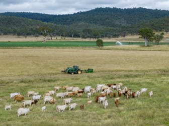 'Turner Downs' 502 Oakfield Road Tansey QLD 4601 - Image 1
