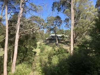 250 Woomera Creek Rd Toora North VIC 3962 - Image 3