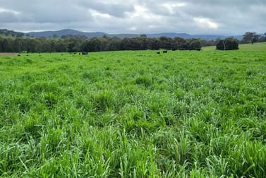 1725 Humula Road Tarcutta NSW 2652 - Image 3