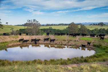 1107 Old Hume Highway Alpine NSW 2575 - Image 3