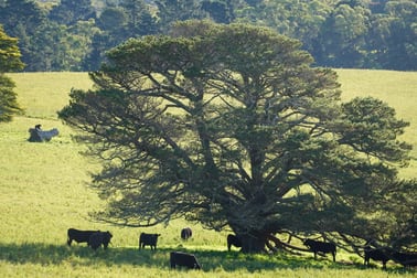 Exeter NSW 2579 - Image 1