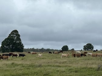 Lot 125 Mount McEuen Road Hivesville QLD 4612 - Image 1