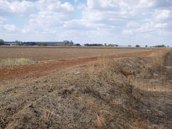 Farm 141 Gogeldrie Road Gogeldrie NSW 2705 - Image 1