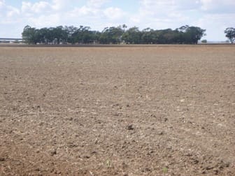 Farm 141 Gogeldrie Road Gogeldrie NSW 2705 - Image 3