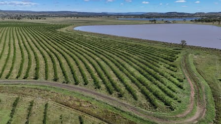 "Yetton" Burnett Highway Gayndah QLD 4625 - Image 1