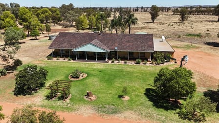 972 Wardry Bus Road Condobolin NSW 2877 - Image 1