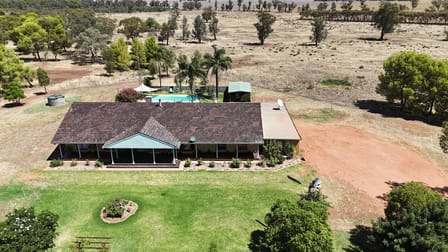 972 Wardry Bus Road Condobolin NSW 2877 - Image 2