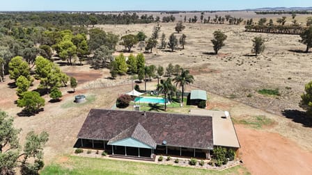972 Wardry Bus Road Condobolin NSW 2877 - Image 3