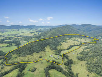 117 Bullen Bullen Road Gloucester NSW 2422 - Image 1