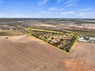 12210 Augusta Highway Napperby SA 5540 - Image 2