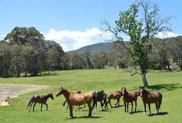 95 Bago Forest Road Tumbarumba NSW 2653 - Image 1