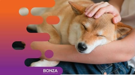 Animal Related  business for sale in Brisbane City - Image 3
