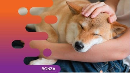 Animal Related  business for sale in Sydney - Image 3