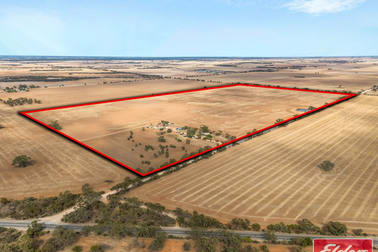 565 Callahan Road Reeves Plains SA 5502 - Image 1