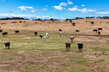 11480 Midland Highway Campbell Town TAS 7210 - Image 3