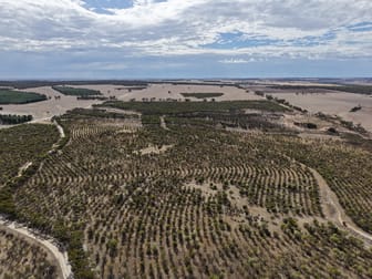 Lot 706 Quairading - York Road Kauring WA 6302 - Image 3