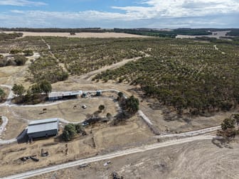 Lot 706 Quairading - York Road Kauring WA 6302 - Image 1