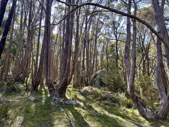 124 Gumms Road Harolds Cross NSW 2622 - Image 1