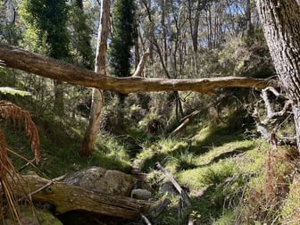124 Gumms Road Harolds Cross NSW 2622 - Image 2