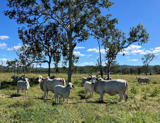 Blue Mountain QLD 4737 - Image 3