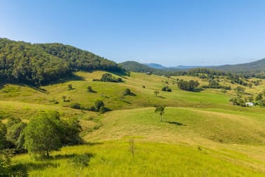 1052 Pipeclay Road Pipeclay NSW 2446 - Image 2
