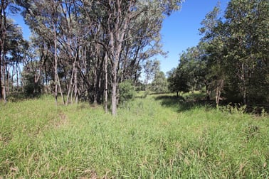 "Alaire" 161 Alaire Drive Isla QLD 4719 - Image 2