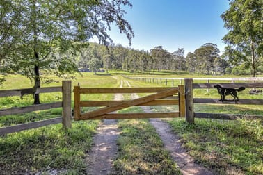 61 Narone Creek Rd Wollombi NSW 2325 - Image 1