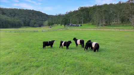 61 Narone Creek Rd Wollombi NSW 2325 - Image 3