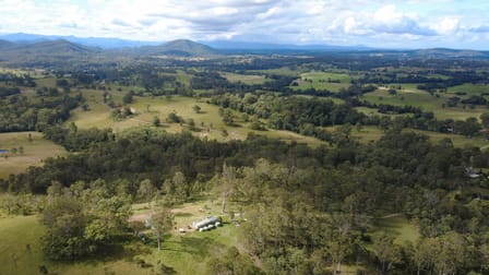 Dollys Flat NSW 2429 - Image 1