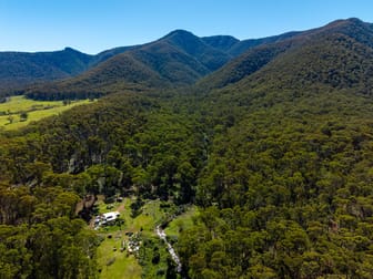 137 Yankees Gap Firetrail Bemboka NSW 2550 - Image 1