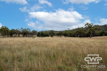 137, 4108 Tent Hill Road Emmaville NSW 2371 - Image 3