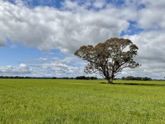 Bridgewater-Maldon Road Laanecoorie VIC 3463 - Image 1