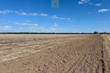 1835 Forest Way Yarrie Lake NSW 2388 - Image 1